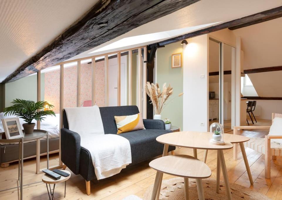 Le Cosy Du Pont Mouja Apartment Нанси Екстериор снимка